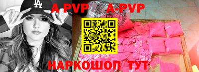 спайс Кингисепп