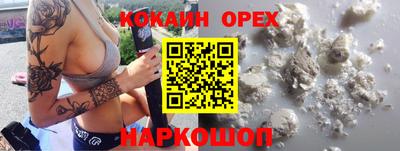 спайс Кингисепп