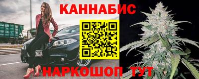 спайс Кингисепп