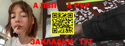 спайс Кингисепп