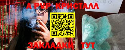 спайс Кингисепп