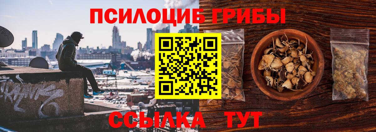 Галлюциногенные грибы прущие грибы  Галлюциногенные грибы мухоморы  Вход с VPN  Кандалакша 