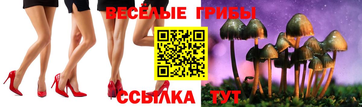 Псилоцибиновые грибы Psilocybe Кандалакша